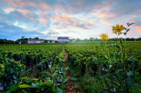 Gites Chateau Comblanchien